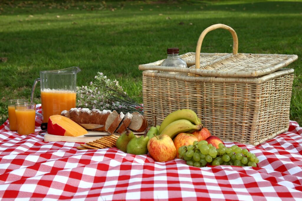 Celebrate National Picnic Day with Your family