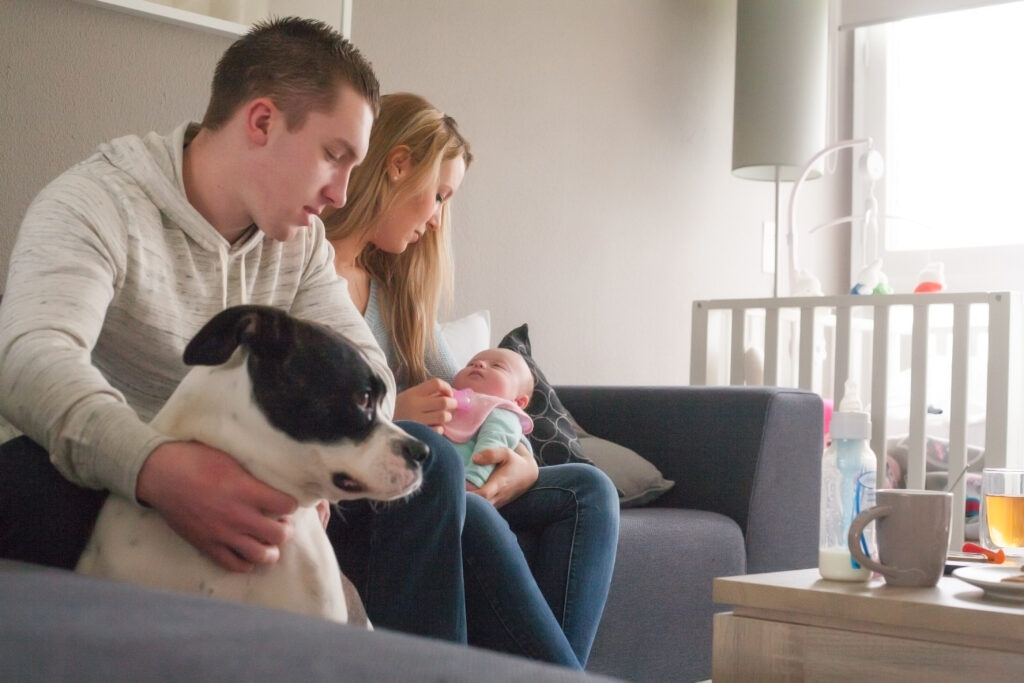 Family introduces new baby to their dog.