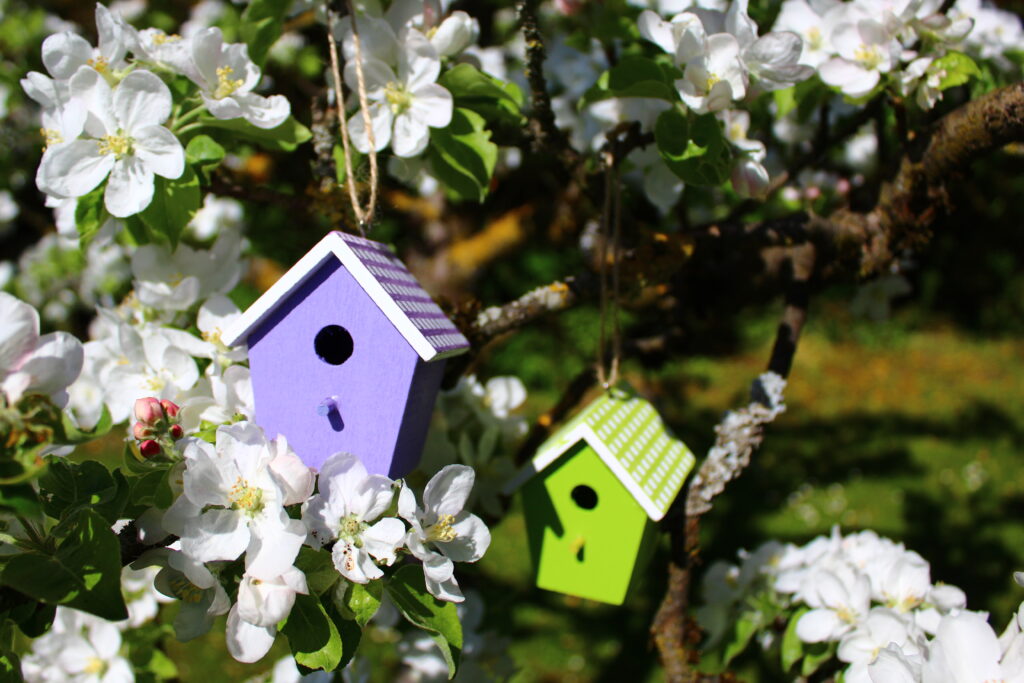 colorful birdhouses blossoming in a pear tree